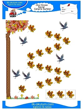 Çocuklar İçin Sayılar Çalışma Sayfaları 